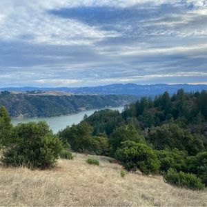 Meet your Posher, Carlos